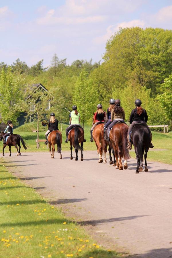Horsetellerie Rheezerveen Харденберг Экстерьер фото